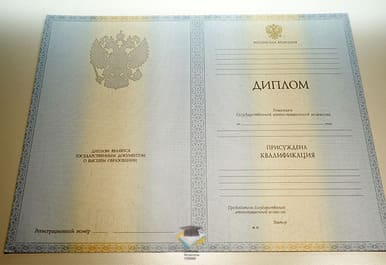 Диплом БФ РУК 2012-2013 годов